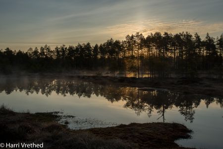 Knuthöjdsmossen