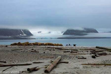 Smeerenburgfjorden